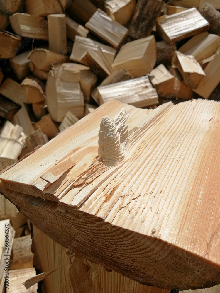 Wooden log split, with one ingrown formation Wooden log split, with one ingrown formation