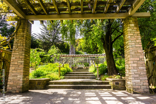 Canvas Print Paved alley in the Botanical Garden located in Golden Gate Park, San Francisco,