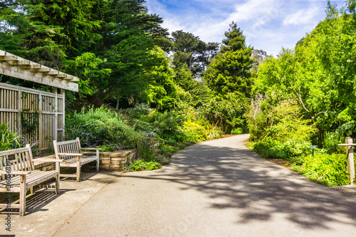 Paved alley in the Botanical Garden located in Golden Gate Park, San Francisco, California