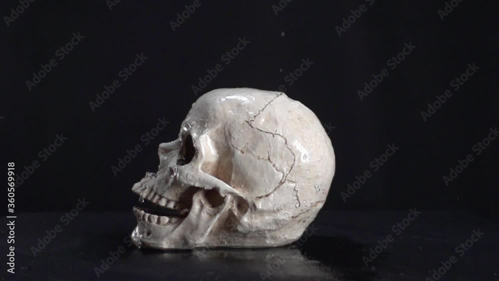magical beautiful skull, on which drops of water fall in slow motion, fortune telling psychic of black magic