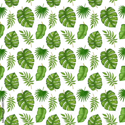 Seamless pattern with watercolor green tropical palm tree branches  banana  monstera leaves on white background. Hand drawn summer nature print for design wrapping paper  textile  fabric  scrapbooking