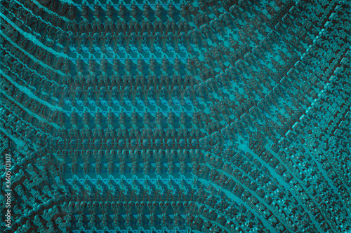 3D render. The embossed background texture, 3d illustration, volumetric drawing. Textures for the design. Three-dimensional texture. 3D Fractal shape.