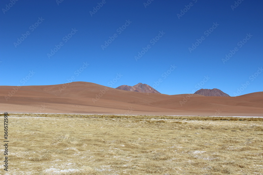Landscape of Atacama Desert, Atacama, Chile.