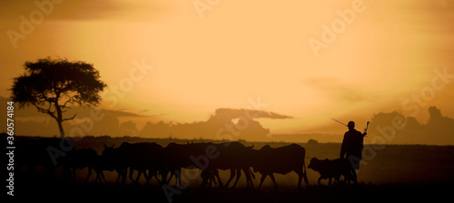 Maasai Mara sunset and a farmer herding his cattle, Kenya