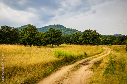 dirt road in a field with castle ruins