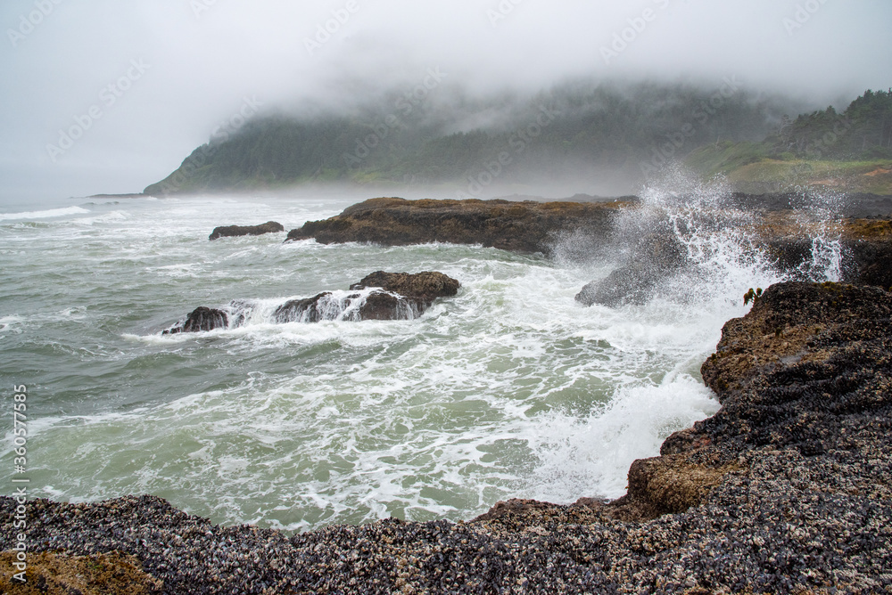 Waves Crashing on the Rocky Shore