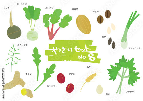 野菜のイラストセット　8
