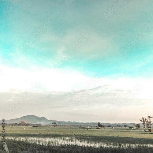 rural landscape in the netherlands © heri_kriswanto