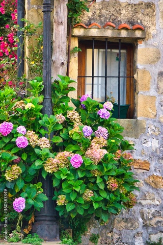 window with flowers