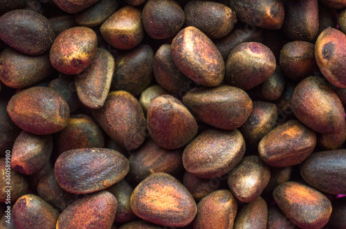 Nuts from cones of Siberian cedar