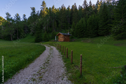 Walking trail leading through the forest from Monte Penegal to Monte Macaion in Italian South Tyrol.