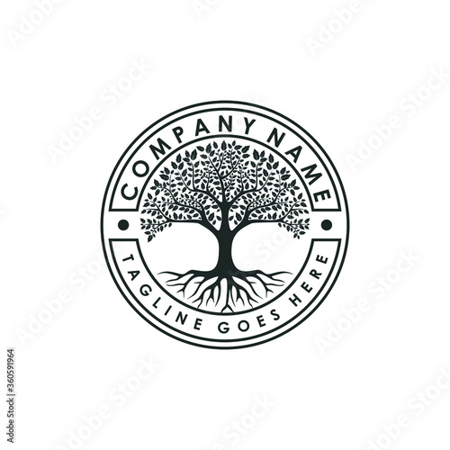 Family Tree of Life stamp seal logo design inspiration