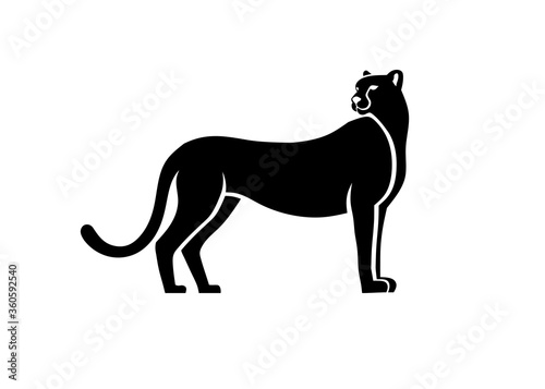 silhouette of cheetah character  leopard vector illustration