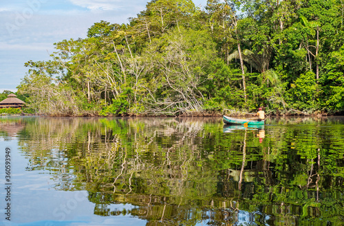 Indigenous Kichwa man paddling a canoe to an Amazon Rainforest lodge, Ecuador. photo