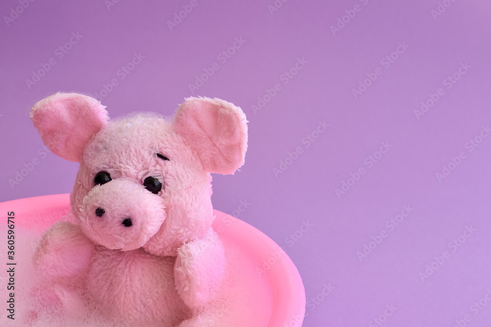 Pink little piggy bathes in a children's bath on a purple background. Bathing children. Place for your text. Pink little piggy bathes in a children's bath on a purple background. Bathing children. Place for your text.