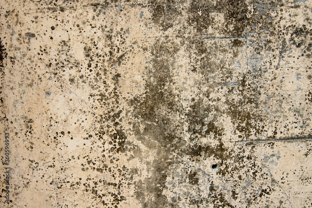 Yellow dirty and old concrete wall texture background.