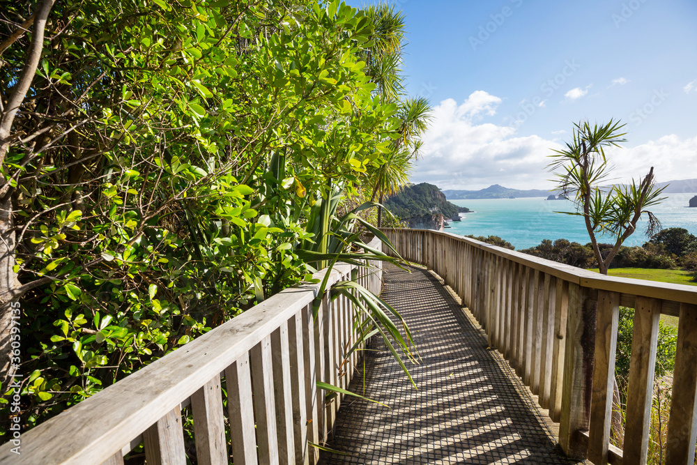Boardwalk in New Zealand coast Boardwalk in New Zealand coast