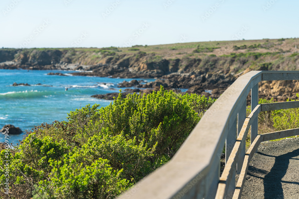 Obraz premium California Coastal trail at Hearst San Simeon State Park