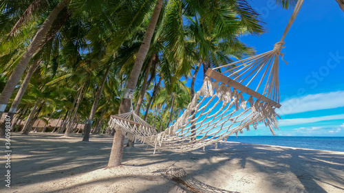 swing on the beach with palm trees
