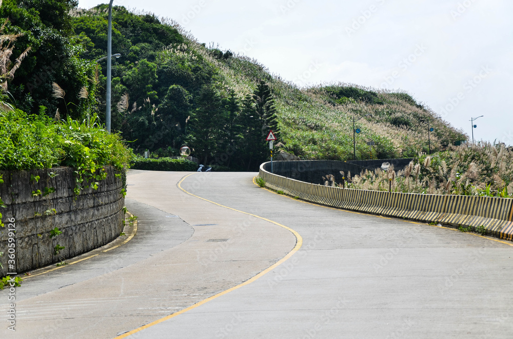 Miscanthus next to the road at Matsu, Taiwan. Miscanthus next to the road at Matsu, Taiwan.