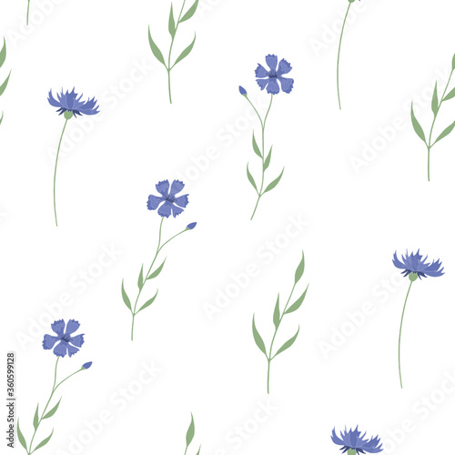 Vector seamless pattern with blue cornflowers