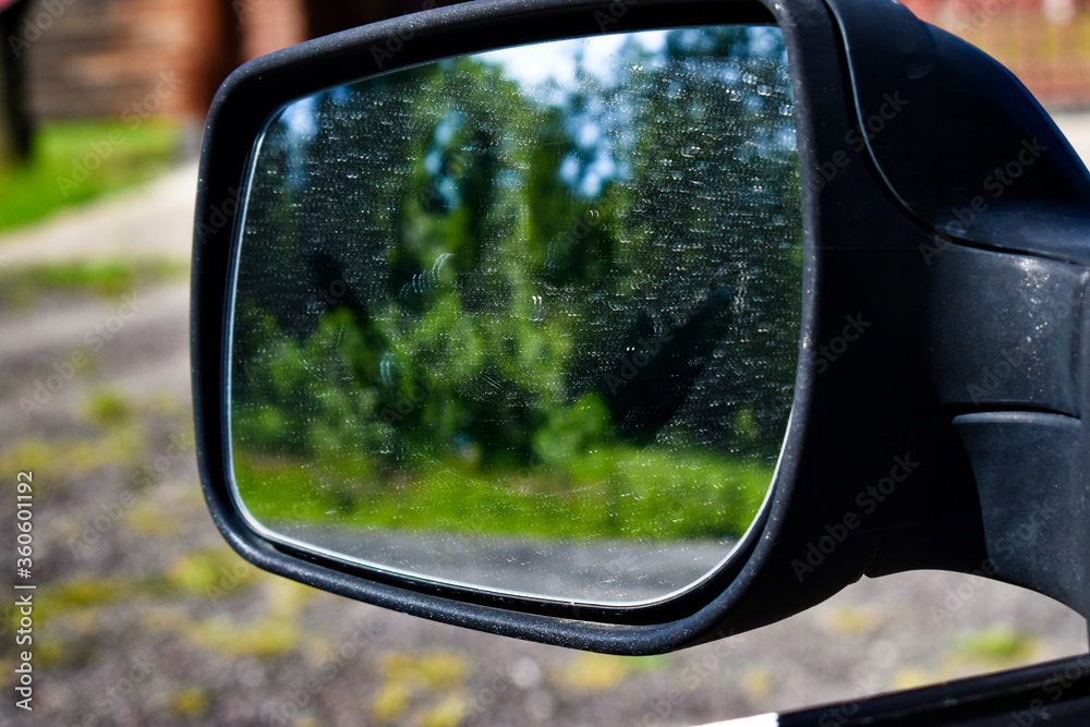 blurred reflection of green vegetation in a car mirror