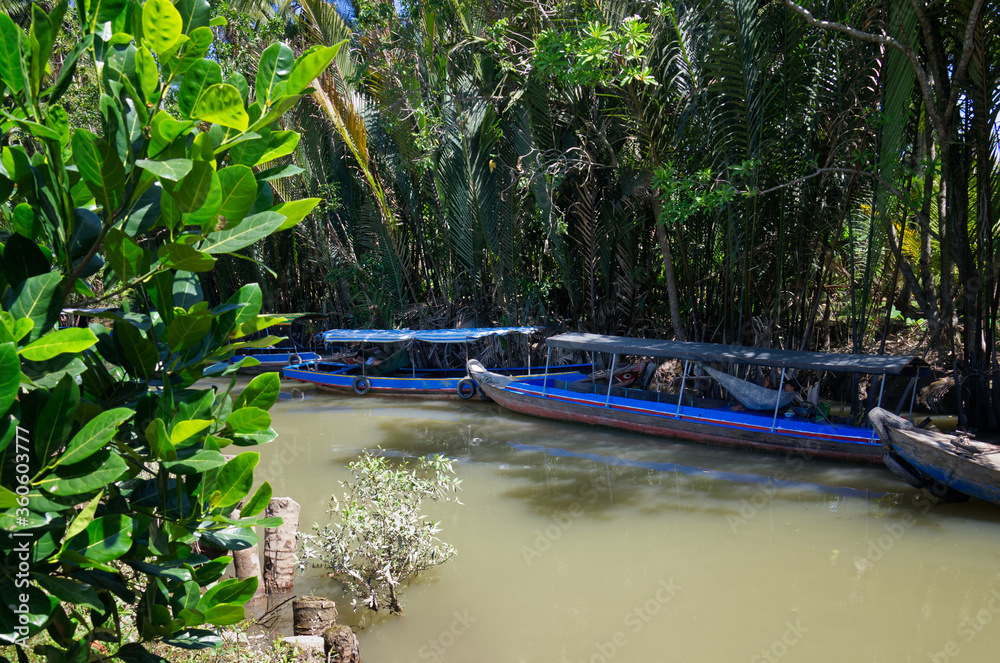 Φωτογραφία The canals in the Mekong Delta are surrounded by jungles and mangroves