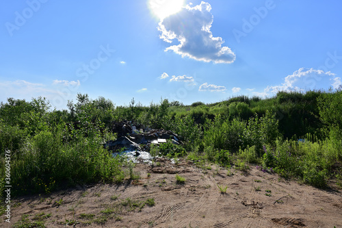 Garbage in summer in clear weather against a cloudy blue sky photo