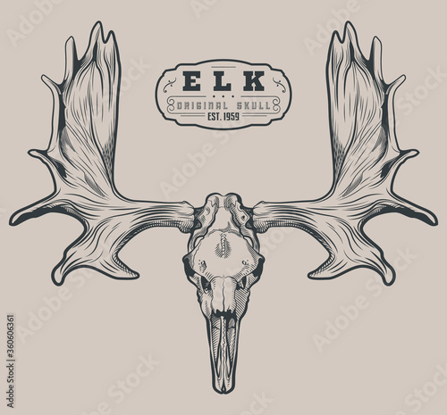 Moose Skull Logo, Emblem, Label Template, Elk Horns Trophy Engraving Style  Tattoo Design Stock Vector | Adobe Stock