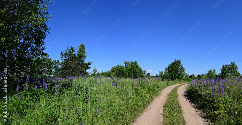 Panoramic photo of a field with a tree on a background of clouds in summer sunny weather