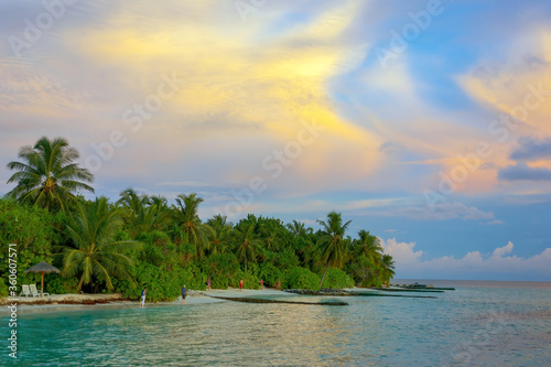 Tropical island with sandy beach, palm trees © Globus 60