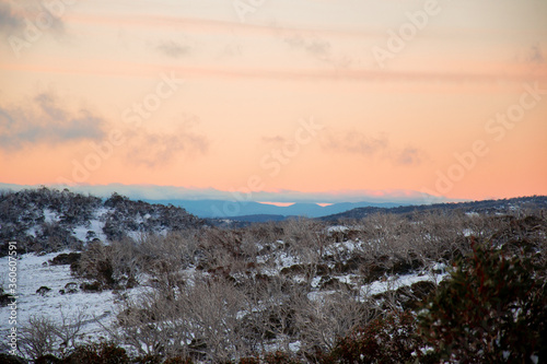 Fototapeta Naklejka Na Ścianę i Meble -  Sunset in the mountains with dead tree and snow in Australia