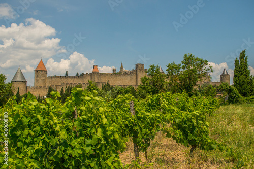 Walls of Carcassonne from a vineyard