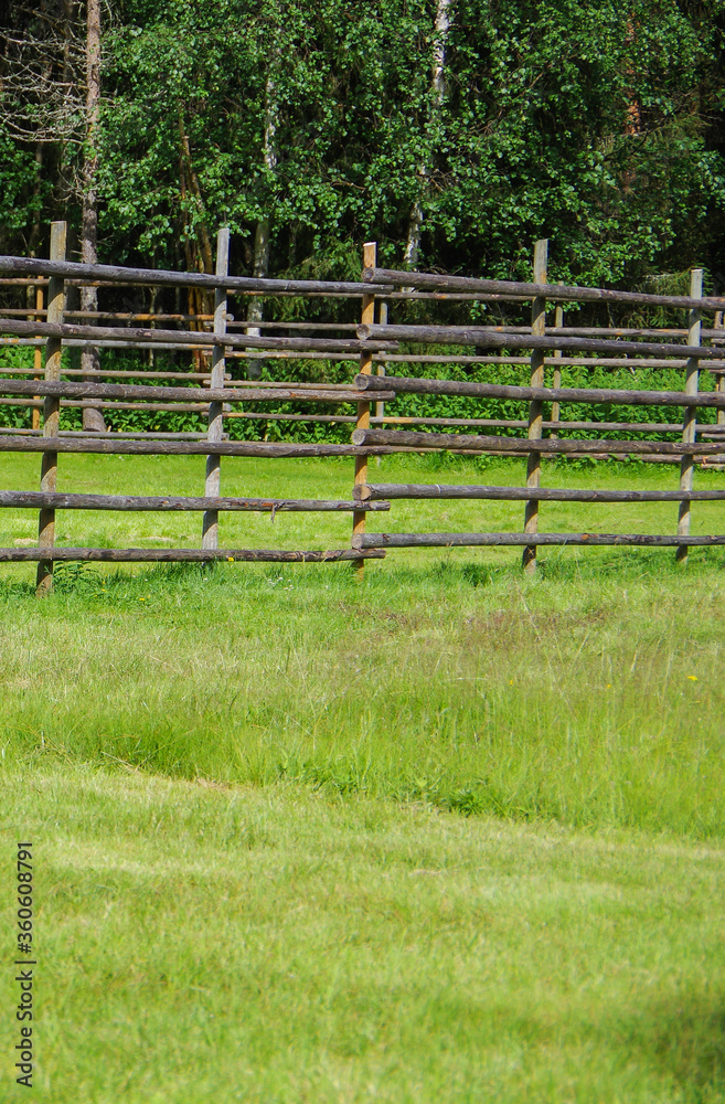 Old wood log fence with grass at rural village farm with copy space