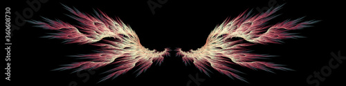 Fantasy angel wings on black background