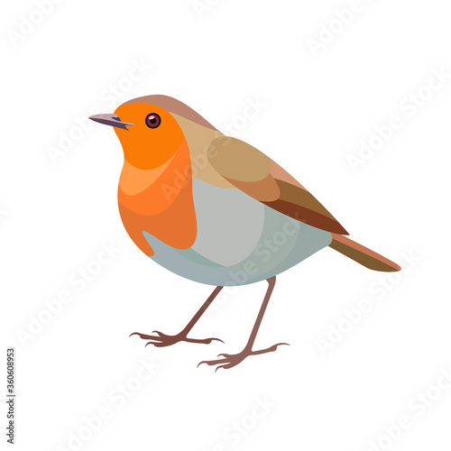 Robin bird vector illustration. Side view.