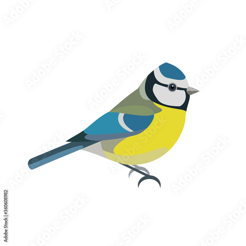 Bird vector illustration. Side view.