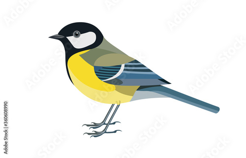 Bird vector illustration. Side view.