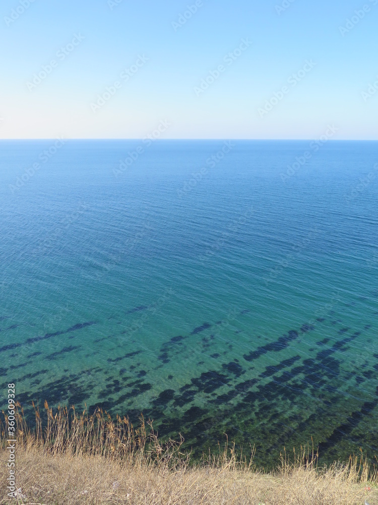 sea landscape with grass