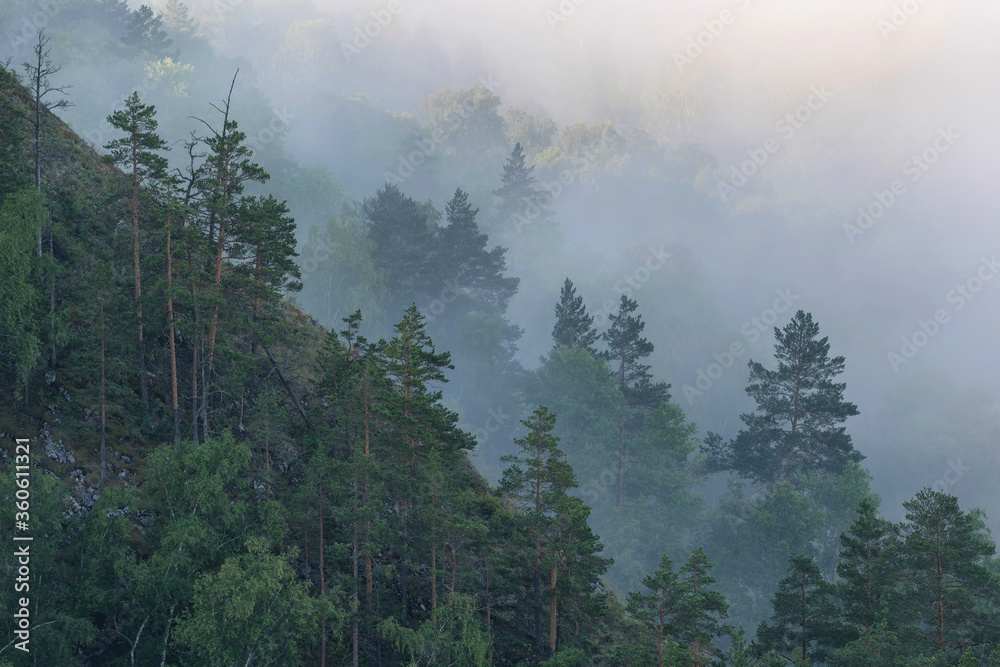 Naklejka premium Ural landscape. Morning mist on mountain forest. Bashkiria, Russia.