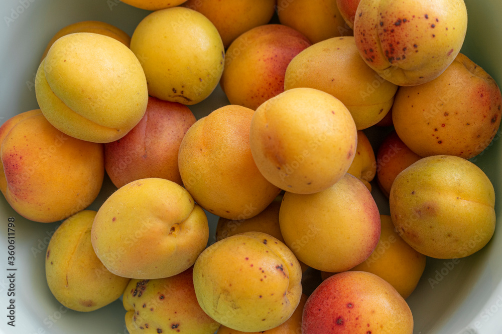 Ripe fresh apricots in a plastic bowl