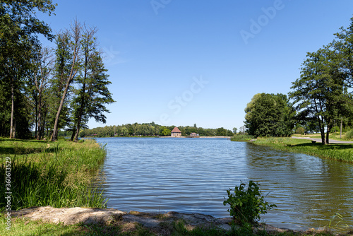 Etang du Stock en Moselle proche de Sarrebourg