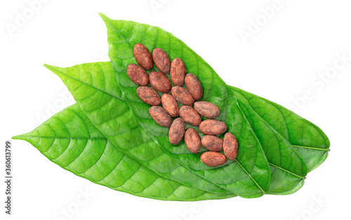 dried cocoa beans and fresh cocoa leaves isolated on white background
