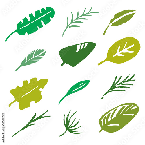 Leaves, branches sketch set. Tropical plants isolated on white