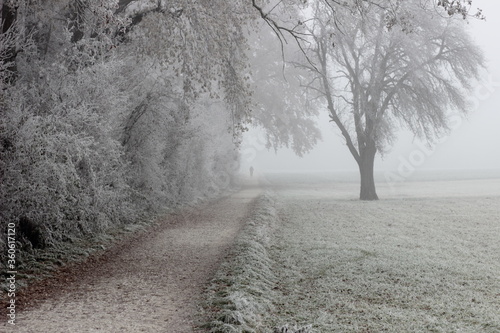 A Lone Man Walks Through Cold