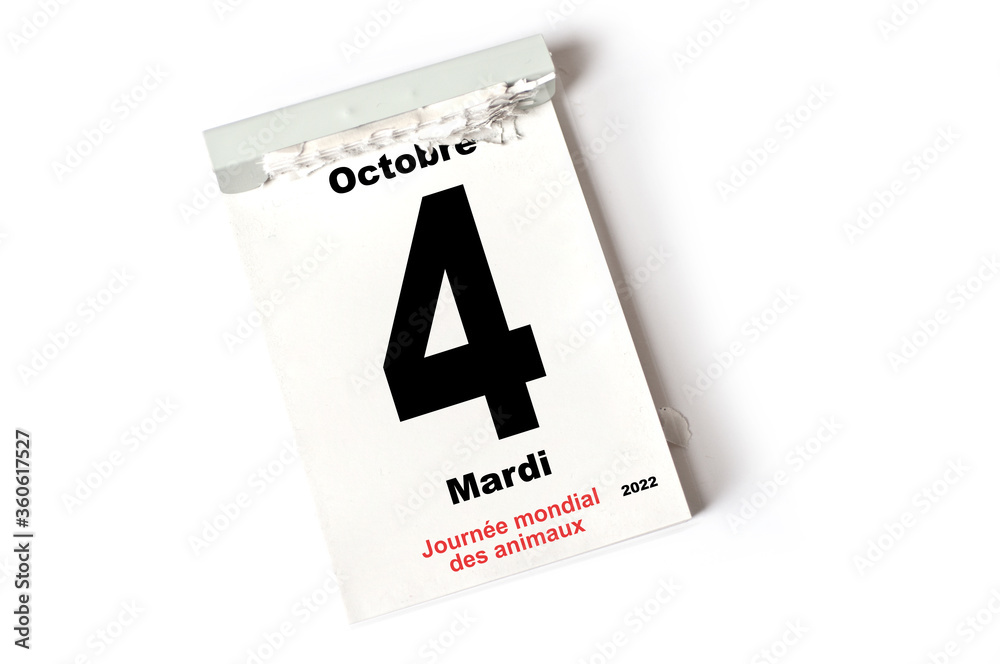 4 Octobre 2022 Journée mondiale des animaux 4 Octobre 2022 Journée mondiale des animaux