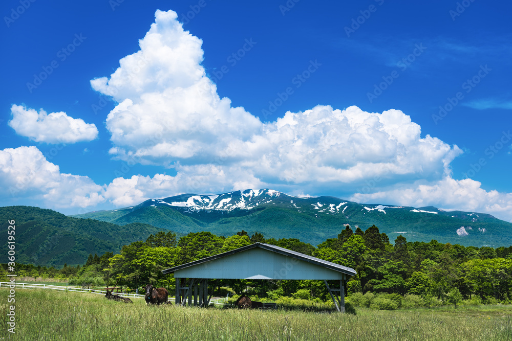 日本　栗駒山 駒姿の残雪と高原の牧場