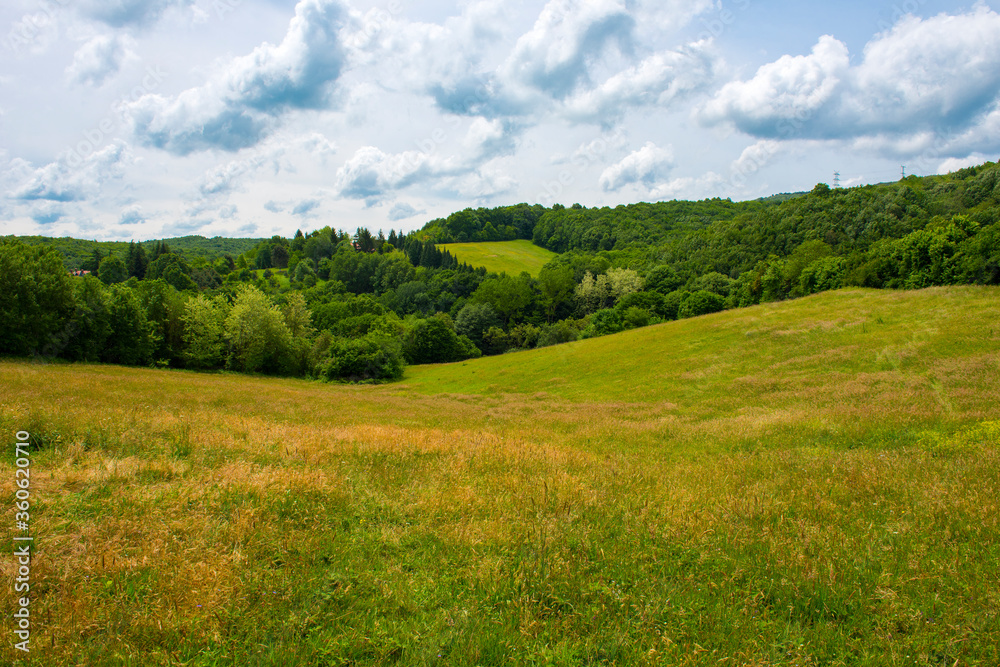 Green nature landscape view