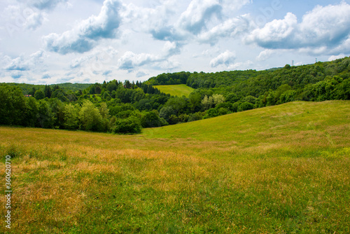 Green nature landscape view