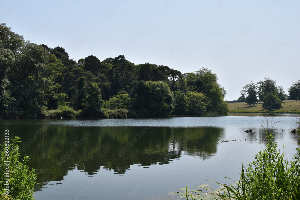 Reflections on a still lake in summer, at Holkham Park, Norfolk, UK